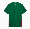 Camisa Palmeiras Home 25/26 - Masculino