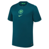 Camisa Seleção Nigéria Away 25/26 Torcedor Masculina